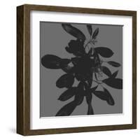 Botanical Light 1-Melody Hogan-Framed Art Print