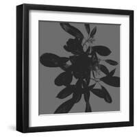 Botanical Light 1-Melody Hogan-Framed Art Print