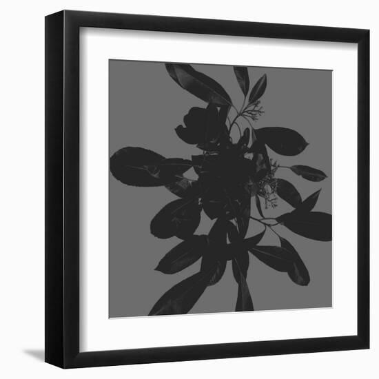 Botanical Light 1-Melody Hogan-Framed Art Print