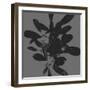 Botanical Light 2-Melody Hogan-Framed Art Print