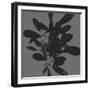 Botanical Light 2-Melody Hogan-Framed Art Print