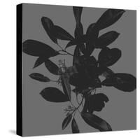 Botanical Light 2-Melody Hogan-Stretched Canvas
