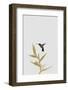 Botanical Luxe - Flitter-Dana Shek-Framed Art Print