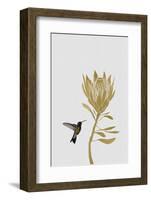 Botanical Luxe - Flutter-Dana Shek-Framed Art Print