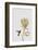 Botanical Luxe - Flutter-Dana Shek-Framed Art Print