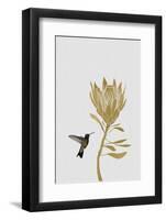 Botanical Luxe - Flutter-Dana Shek-Framed Art Print