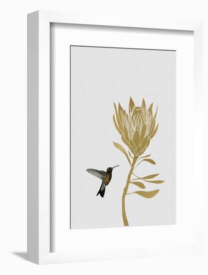 Botanical Luxe - Flutter-Dana Shek-Framed Art Print