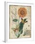 Botanical-Marigold-Souci-Damask-Jean Plout-Framed Giclee Print