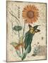 Botanical-Marigold-Souci-Damask-Jean Plout-Mounted Giclee Print