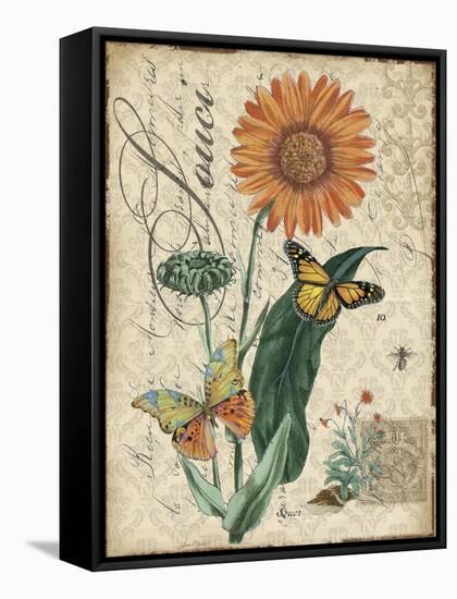 Botanical-Marigold-Souci-Damask-Jean Plout-Framed Stretched Canvas