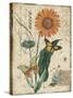 Botanical-Marigold-Souci-Damask-Jean Plout-Stretched Canvas