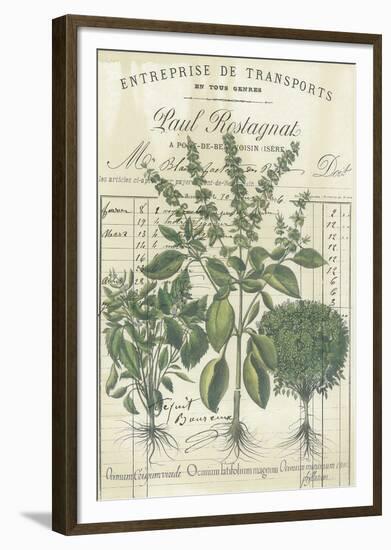 Botanical Memoir IV-Stephanie Monahan-Framed Giclee Print