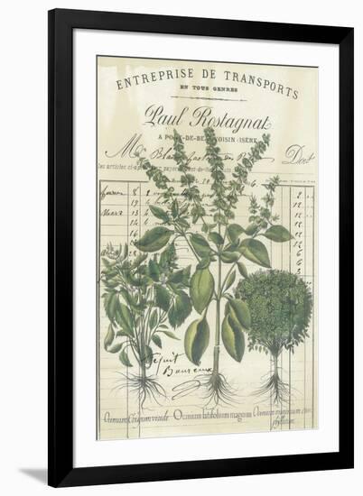 Botanical Memoir IV-Stephanie Monahan-Framed Giclee Print