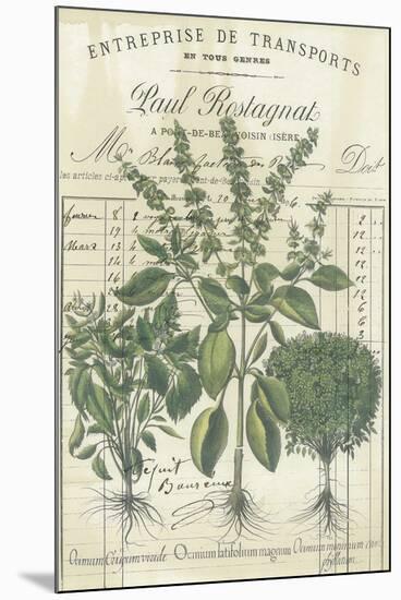 Botanical Memoir IV-Stephanie Monahan-Mounted Giclee Print