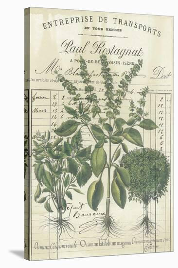 Botanical Memoir IV-Stephanie Monahan-Stretched Canvas