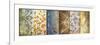Botanical Modulation I-Michael Marcon-Framed Premium Giclee Print