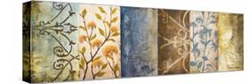 Botanical Modulation I-Michael Marcon-Stretched Canvas