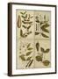 Botanical Montage I-Vision Studio-Framed Art Print