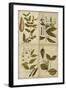 Botanical Montage I-Vision Studio-Framed Art Print