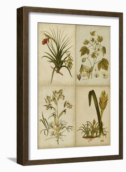 Botanical Montage II-Vision Studio-Framed Art Print