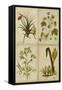 Botanical Montage II-Vision Studio-Framed Stretched Canvas