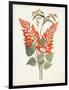 Botanical of the Tropics II-Unknown-Framed Art Print