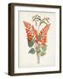 Botanical of the Tropics II-Unknown-Framed Art Print