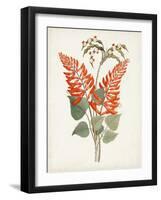 Botanical of the Tropics II-Unknown-Framed Art Print