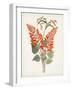 Botanical of the Tropics II-Unknown-Framed Art Print