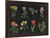 Botanical on Black Chart I-Wild Apple Portfolio-Framed Art Print