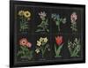 Botanical on Black Chart I-Wild Apple Portfolio-Framed Art Print