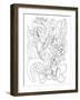 Botanical Orchid BW for Coloring-Cyndi Lou-Framed Giclee Print