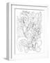 Botanical Orchid BW for Coloring-Cyndi Lou-Framed Giclee Print