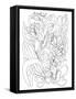 Botanical Orchid BW for Coloring-Cyndi Lou-Framed Stretched Canvas