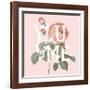 Botanical Pink Rose II You-Wild Apple Portfolio-Framed Art Print