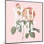 Botanical Pink Rose II You-Wild Apple Portfolio-Mounted Art Print