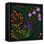 Botanical Play I-Regina Moore-Framed Stretched Canvas