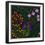 Botanical Play I-Regina Moore-Framed Art Print