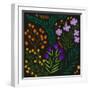 Botanical Play I-Regina Moore-Framed Art Print