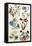 Botanical Print of a Variety of Flowers-J. Hill-Framed Stretched Canvas