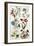 Botanical Print of a Variety of Flowers-J. Hill-Framed Giclee Print