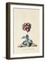 Botanical Print of Garden Auricula-Johann Wilhelm Weinmann-Framed Giclee Print