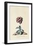 Botanical Print of Garden Auricula-Johann Wilhelm Weinmann-Framed Giclee Print