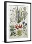 Botanical Print of Various Flowers-J. Hill-Framed Giclee Print