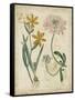 Botanical Repertoire I-Vision Studio-Framed Stretched Canvas