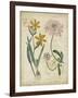 Botanical Repertoire I-Vision Studio-Framed Art Print