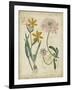 Botanical Repertoire I-Vision Studio-Framed Art Print