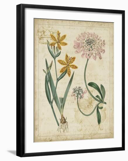 Botanical Repertoire I-Vision Studio-Framed Art Print