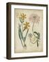 Botanical Repertoire I-Vision Studio-Framed Art Print