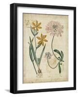 Botanical Repertoire I-Vision Studio-Framed Art Print